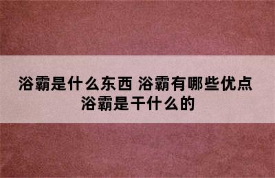 浴霸是什么东西 浴霸有哪些优点 浴霸是干什么的